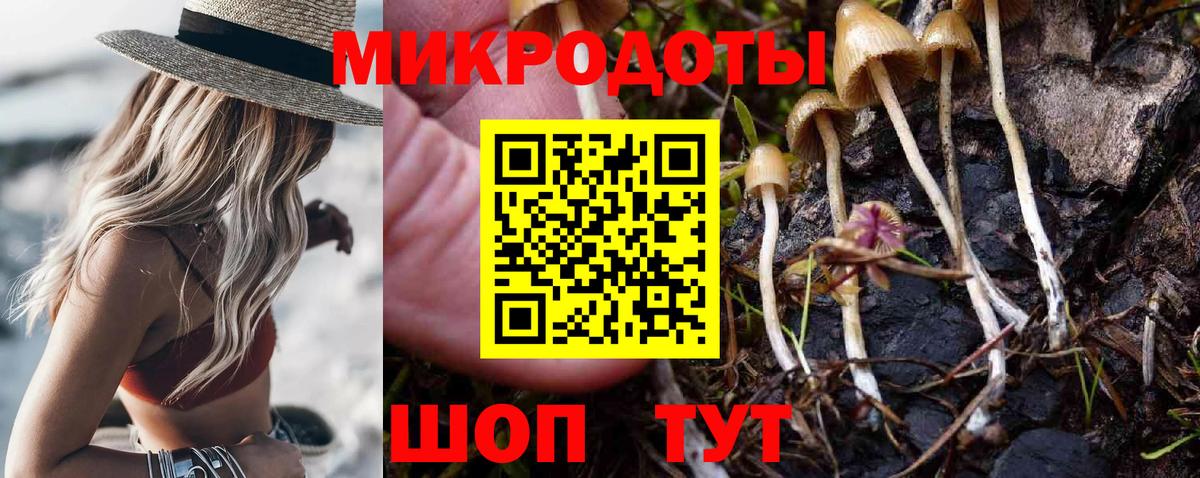 Псилоцибиновые грибы GOLDEN TEACHER Электросталь
